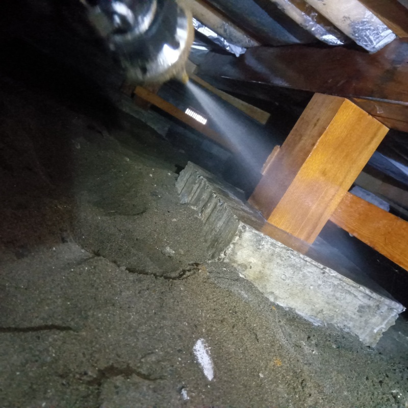 床束にシロアリ駆除剤を散布