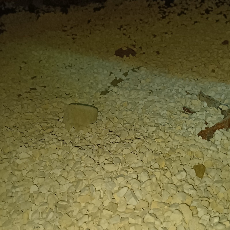 調湿剤を敷き詰めた様子