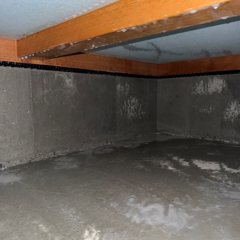 床下木材に防蟻剤を吹きつけたあとの様子