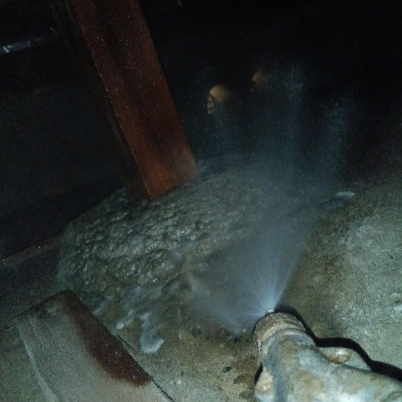 床束にシロアリ駆除剤を散布