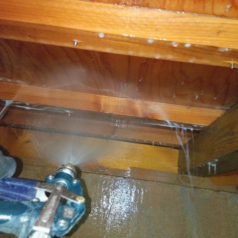 床下上部の木材にシロアリ駆除剤を散布