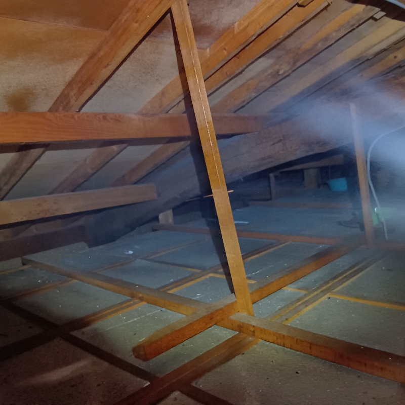 屋根裏の木材にシロアリ駆除剤を散布