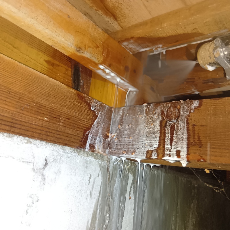 床下木材にシロアリ駆除剤を散布する様子