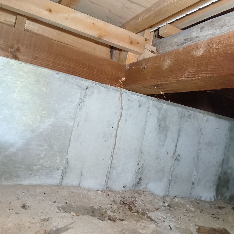 床下の基礎に作られた蟻道