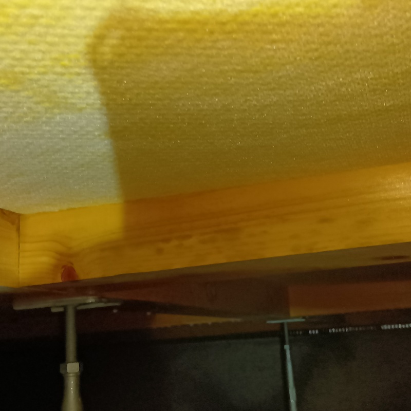 シロアリ駆除剤を散布する前の様子