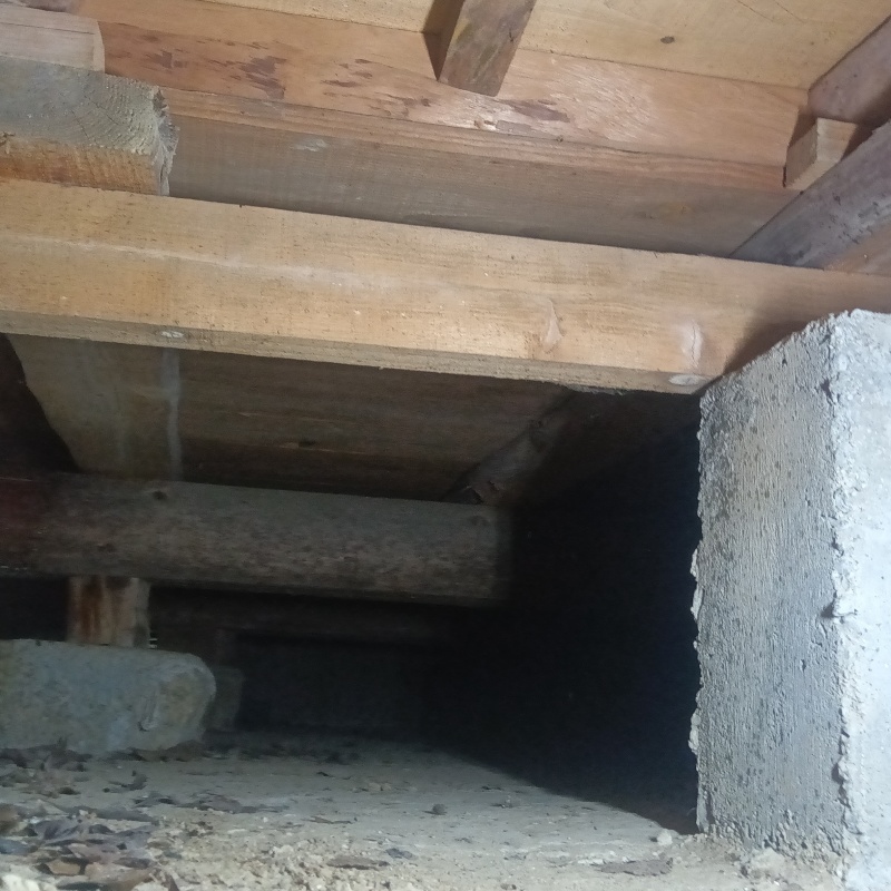 シロアリ駆除剤を散布する前の様子