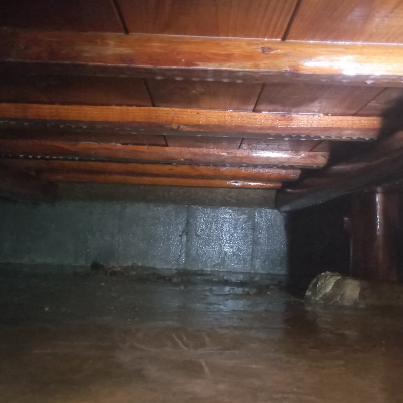 床下の地面にシロアリ駆除剤を散布