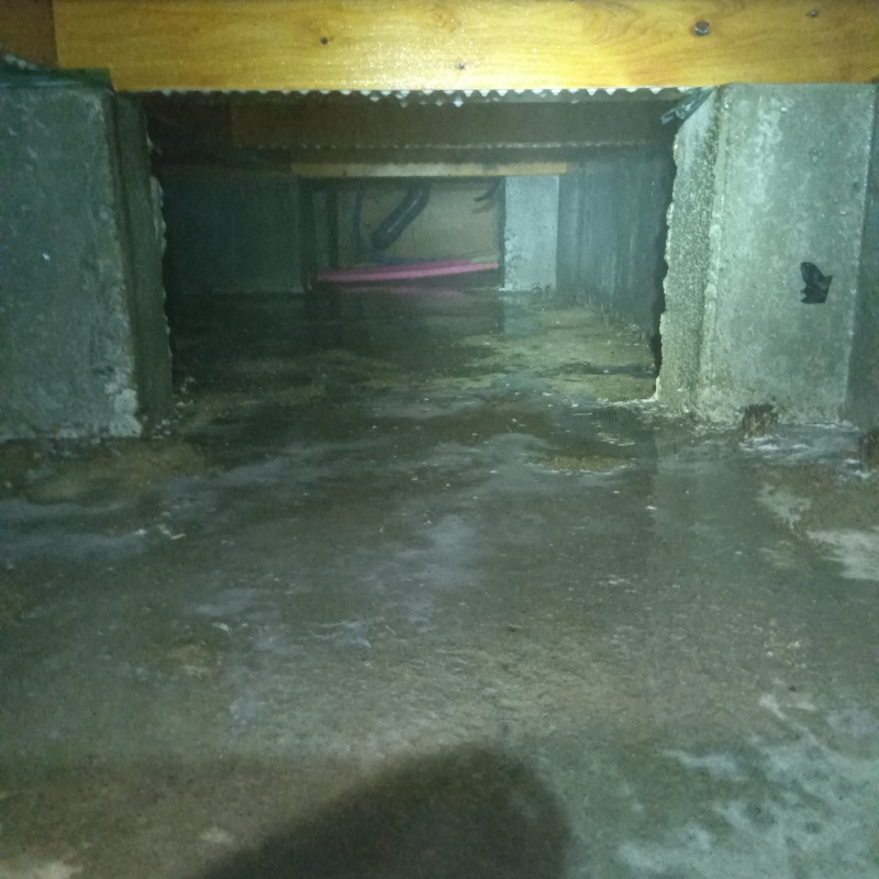 床下全体に防蟻剤を散布した様子