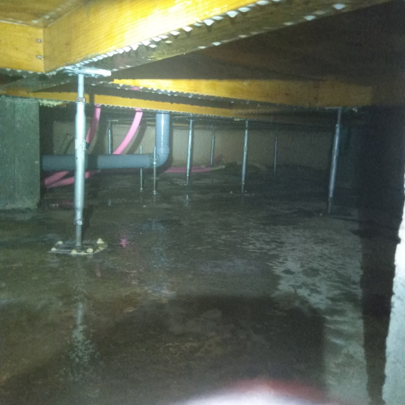 床下全体に防蟻剤を散布した様子