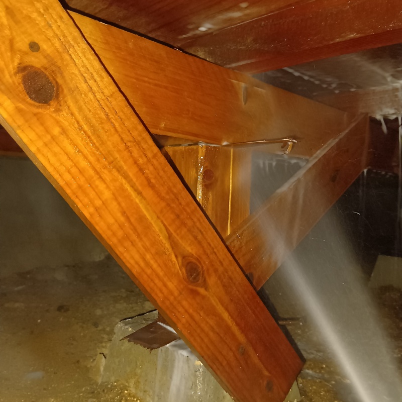 床下木材にシロアリ駆除剤を散布する様子