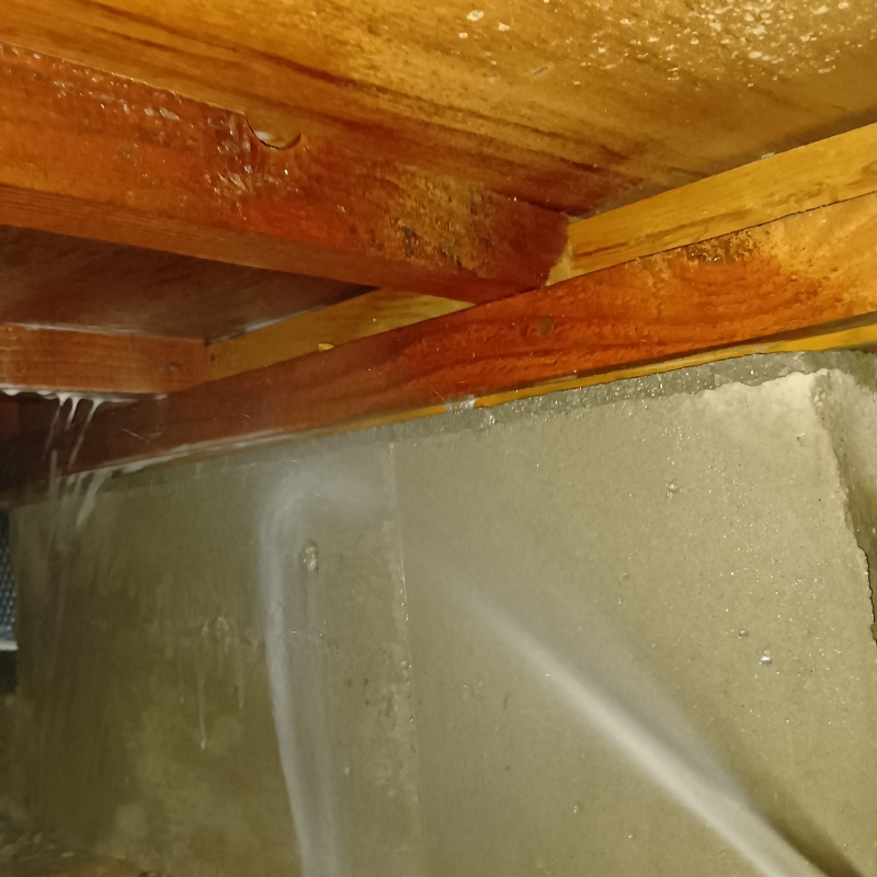 床下の基礎部分にシロアリ駆除剤を散布