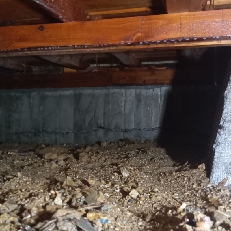 床下の土壌にシロアリ駆除剤を散布したあとの様子
