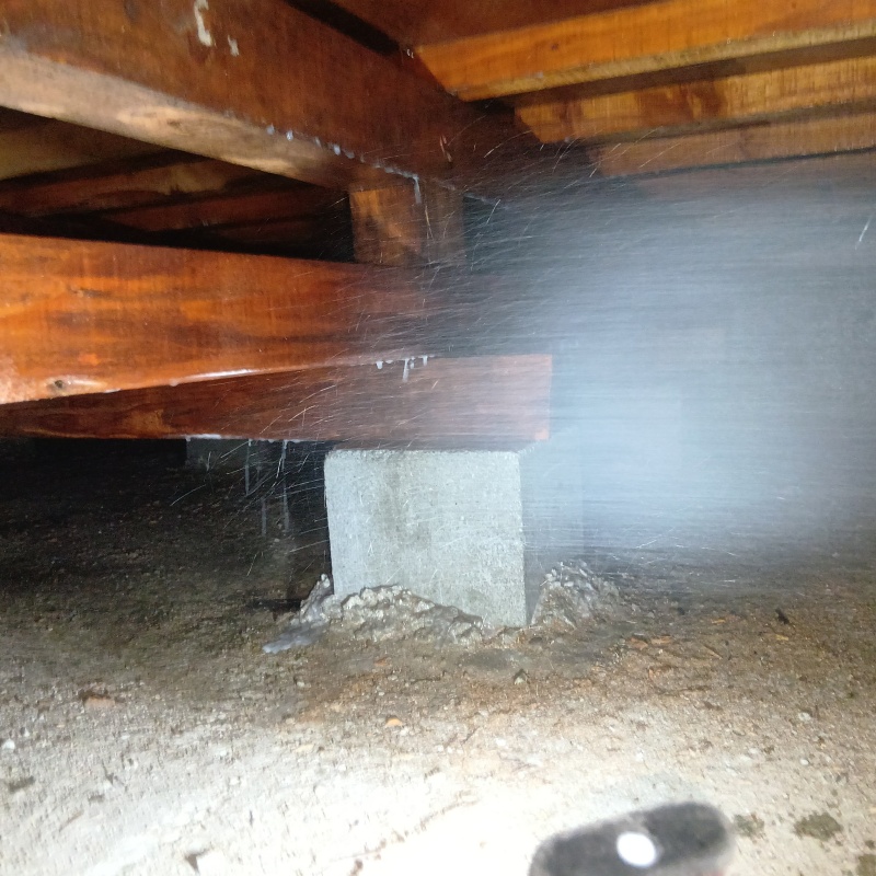 床束と束石が接する部分にシロアリ駆除剤を散布