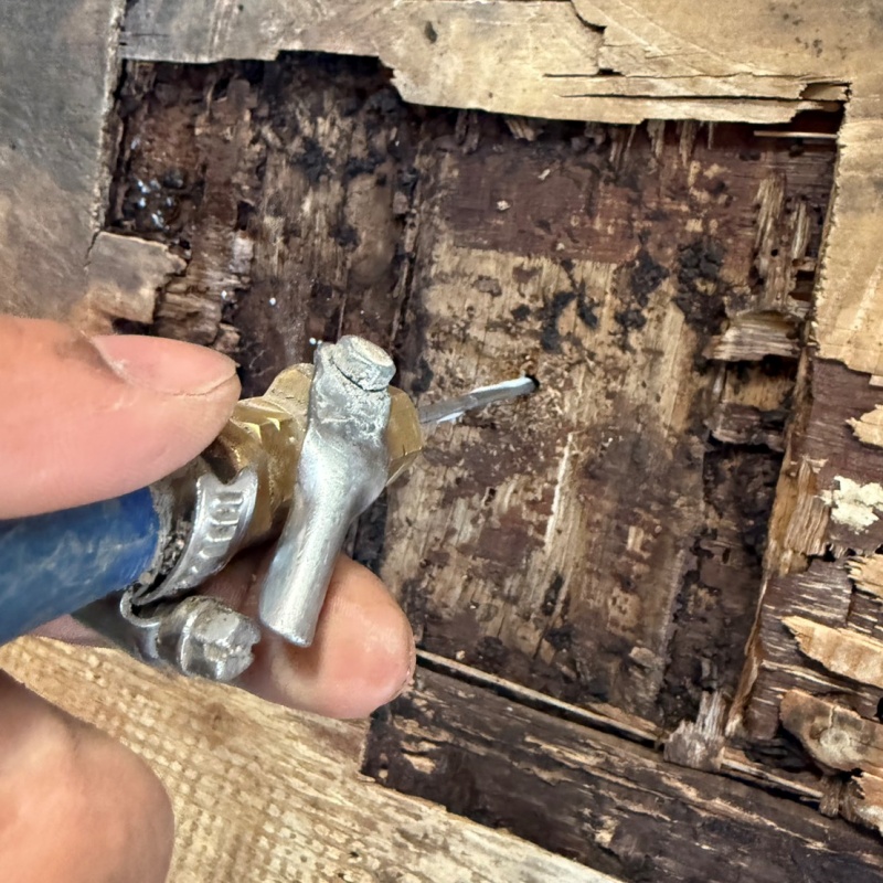 傷んだ木材に防蟻剤を注入