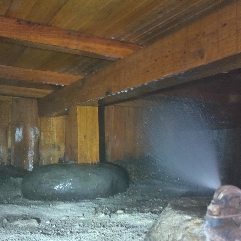 床束にシロアリ駆除剤を散布