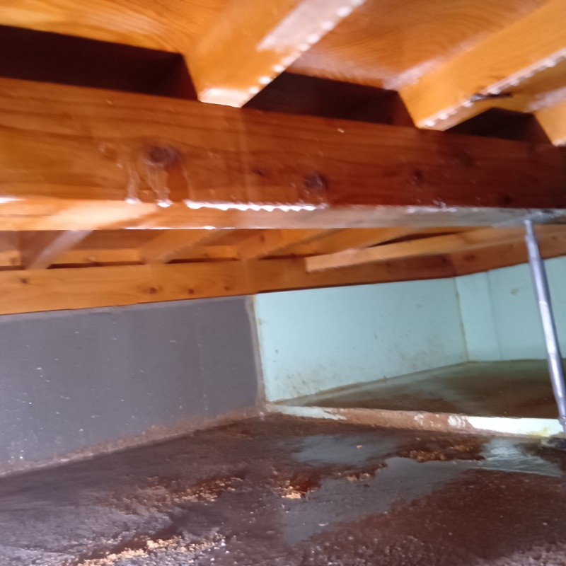 土壌処理が完了した様子