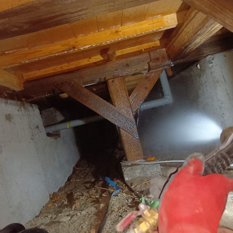 床下木材に防蟻剤を散布する様子