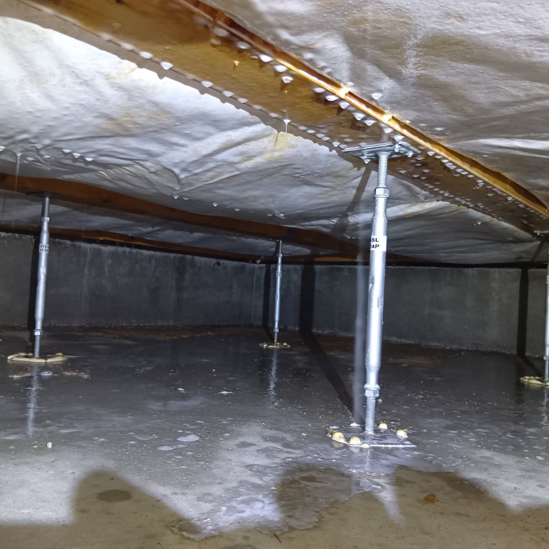 床下木材にシロアリ駆除剤を吹き付けたあとの様子