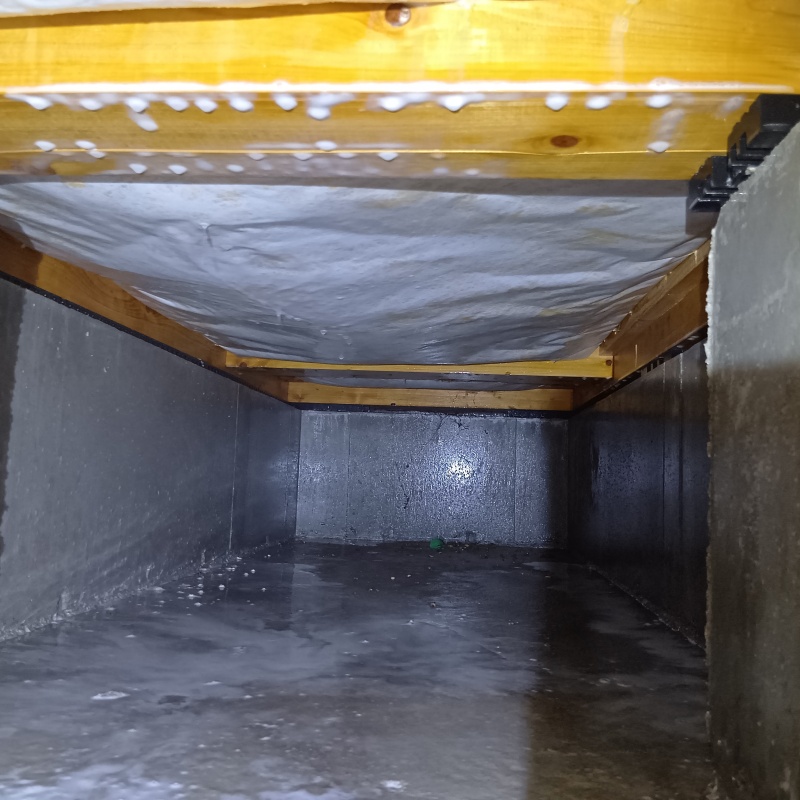 床下の地面に防蟻剤を散布した様子