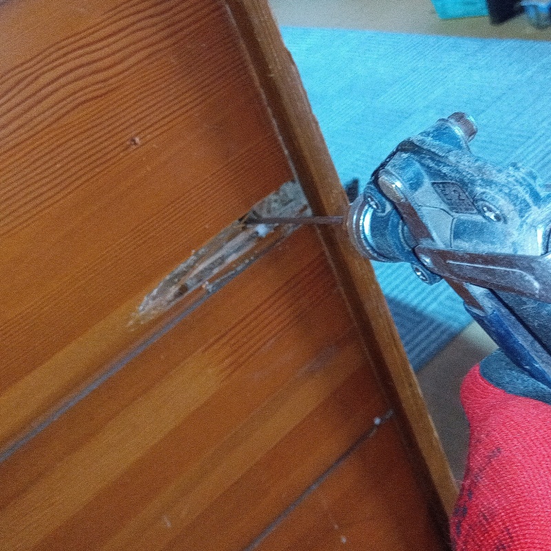 傷んだ木材の内部に直接シロアリ駆除剤を注入