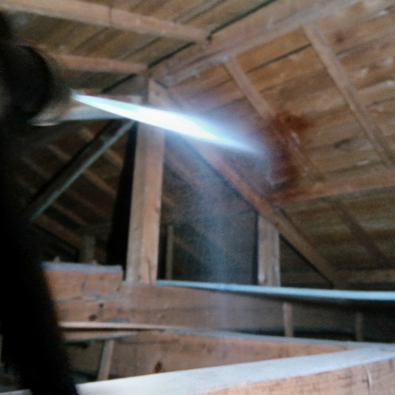 屋根裏の木材に防蟻剤を散布