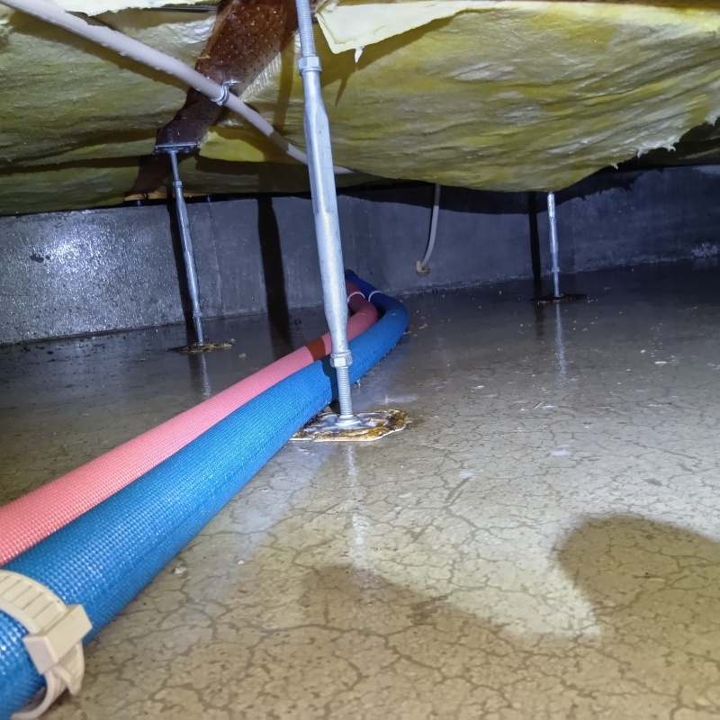 土壌処理が完了した様子