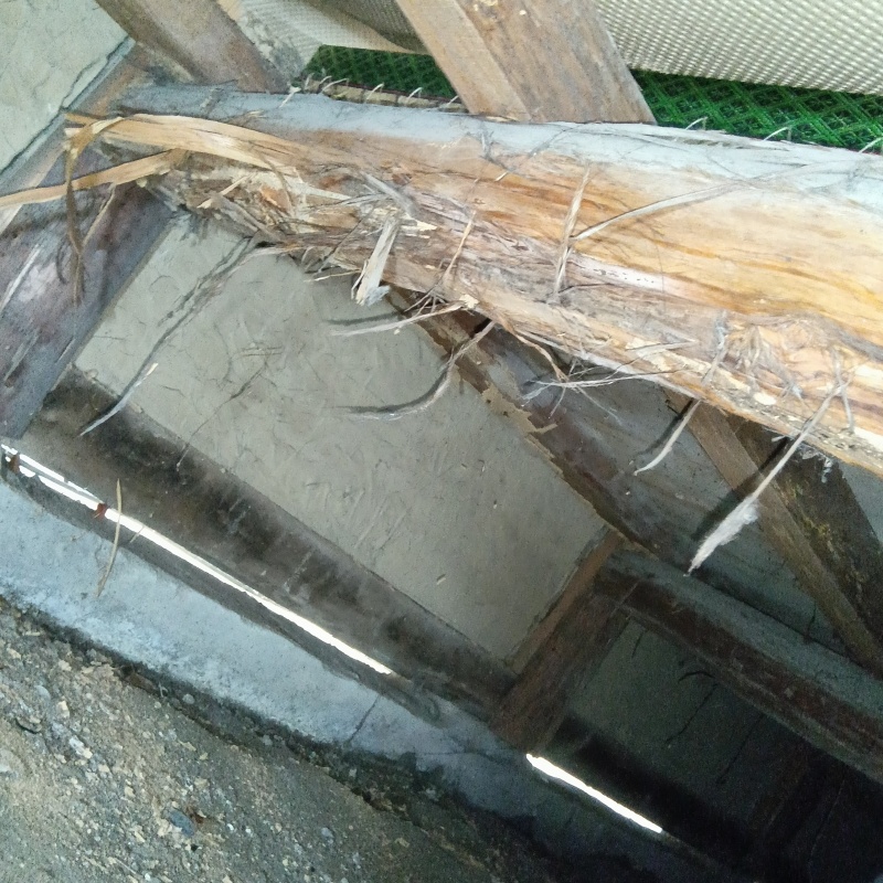 築年数50年のシロアリ駆除の施工事例（愛知県一宮市）