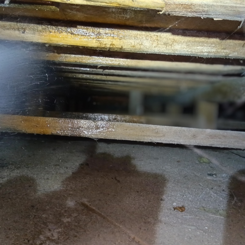 床下木材にシロアリ駆除剤を散布