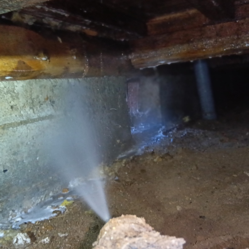 基礎にシロアリ駆除剤を吹き付けている様子