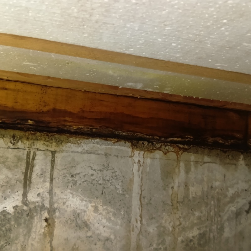 床下の木材が劣化している様子