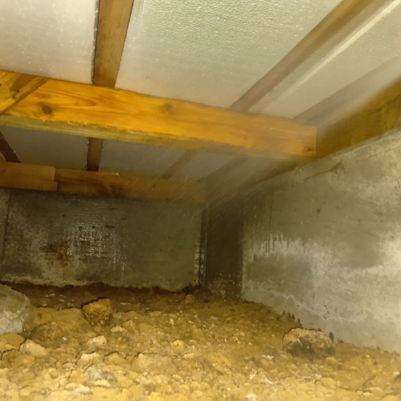 床下全体にシロアリ駆除剤を散布