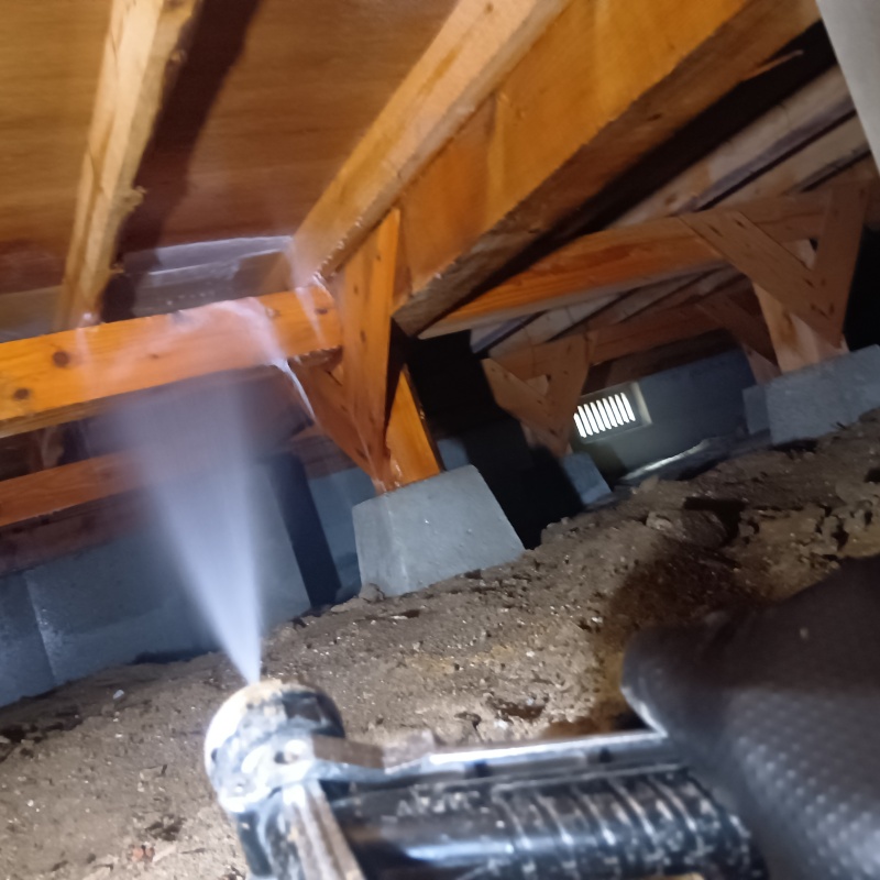 床下木材にシロアリ駆除剤を吹き付けている様子