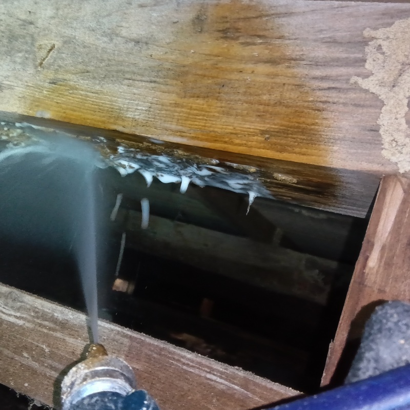 傷んだ木材にシロアリ駆除剤を吹きつけている様子