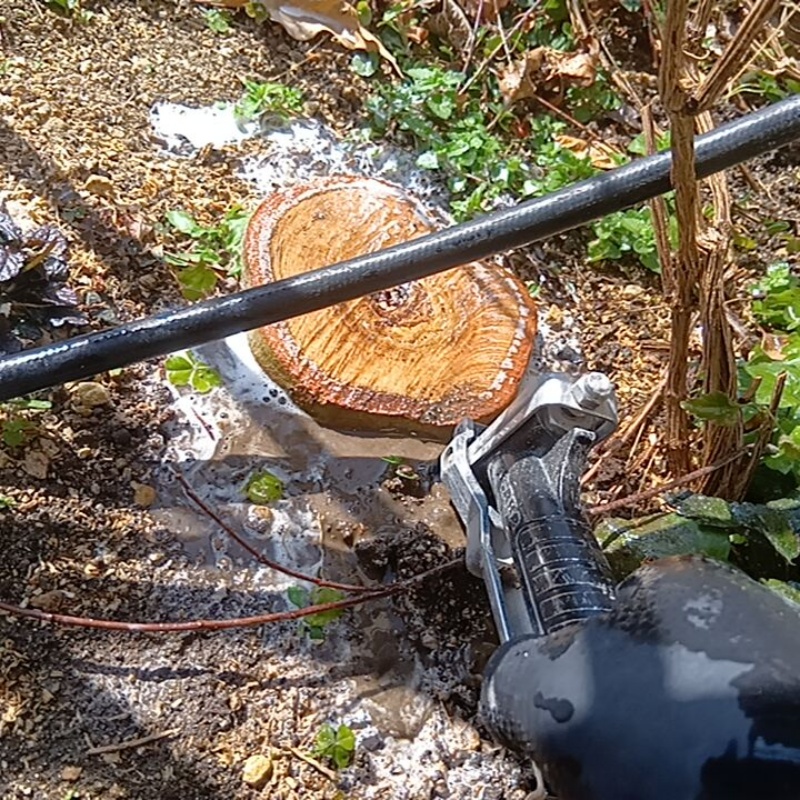 庭の切り株にシロアリ駆除剤を吹き付ける様子