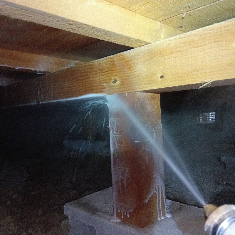 床束に防蟻剤を吹きつける様子