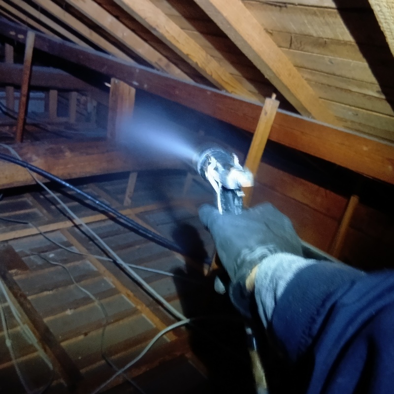 屋根裏の木材にシロアリ駆除剤を散布
