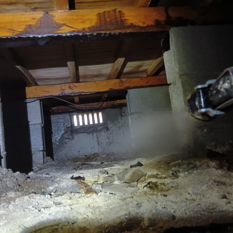 地面にシロアリ駆除剤を散布