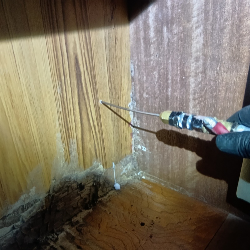 壁内部に直接シロアリ駆除剤を注入