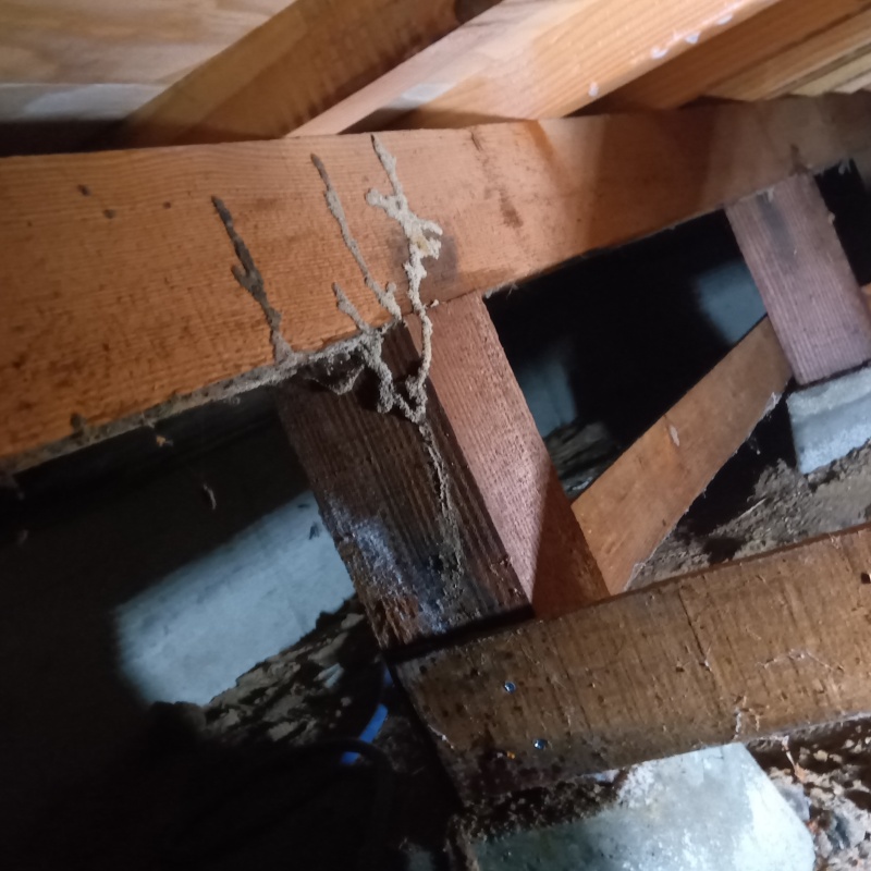 築年数45年のシロアリ駆除の施工事例（岡山県総社市久代）