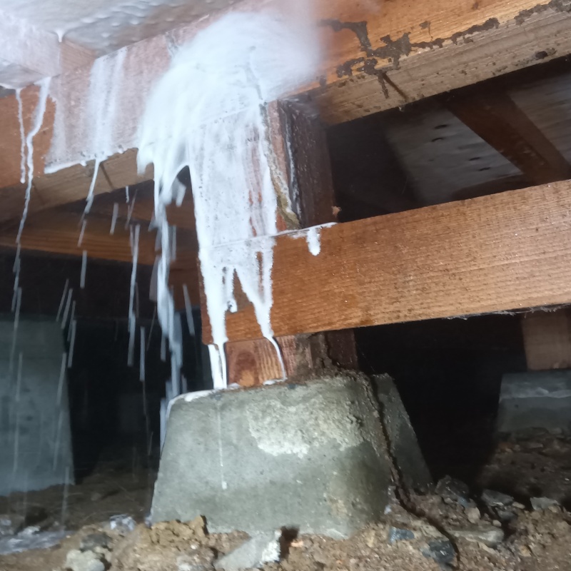 床下木材にシロアリ駆除剤を散布