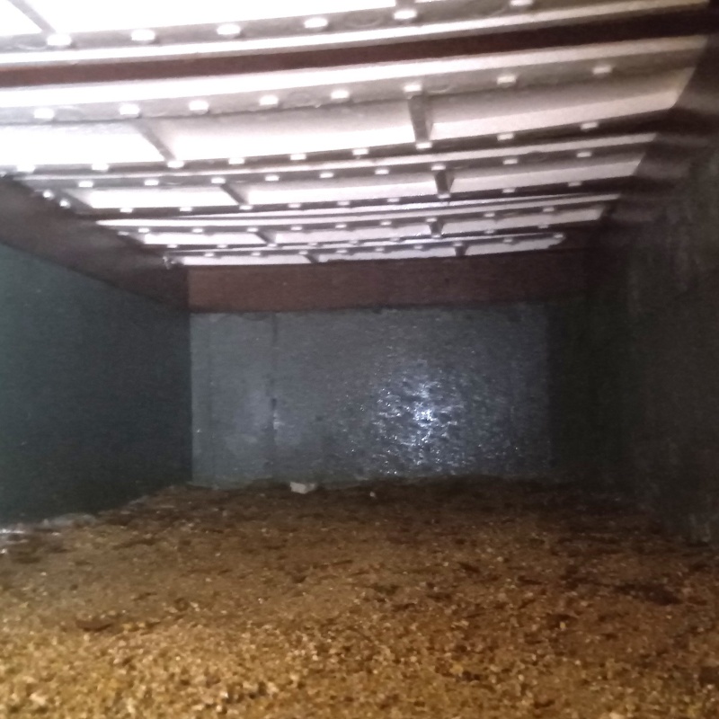 地面にシロアリ駆除剤を散布した様子