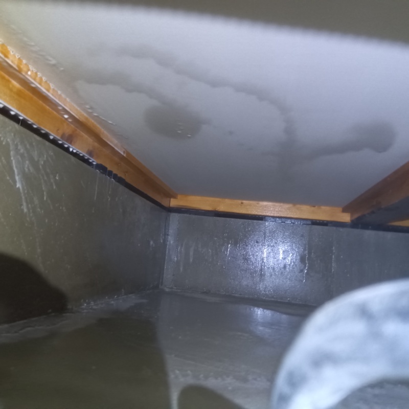 地面と基礎に防蟻剤を散布