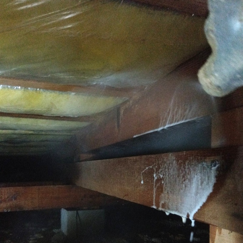 床下断熱材にシロアリ駆除剤を吹き付けている様子