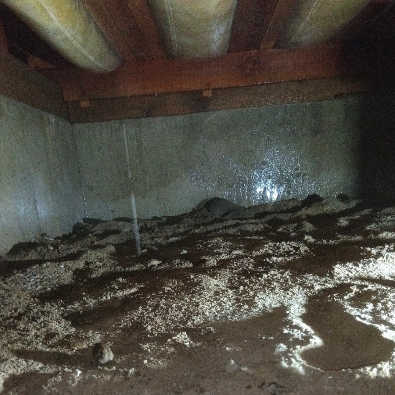 地面にシロアリ駆除剤を散布した様子