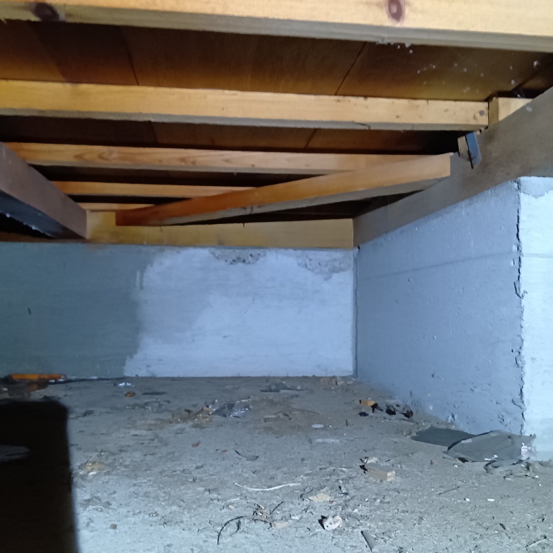 シロアリ駆除剤を散布する前の床下の様子