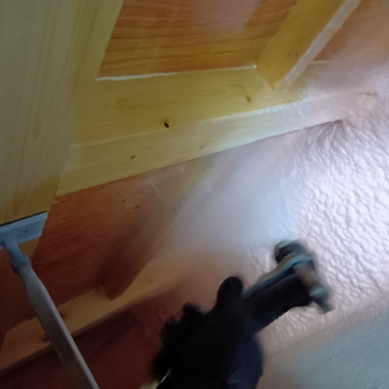 床下木材に防蟻剤を散布