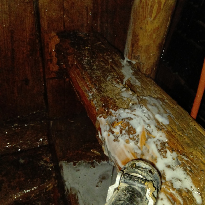 傷んだ木材にシロアリ駆除剤を吹きつけている様子