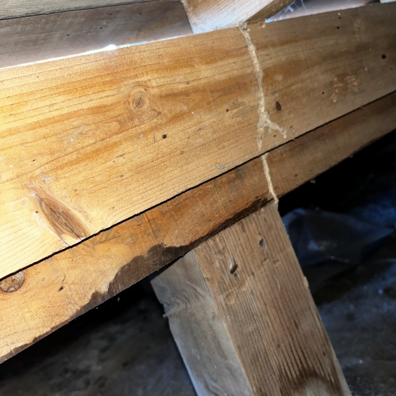 築年数50年のシロアリ駆除の施工事例（埼玉県比企郡吉見町）