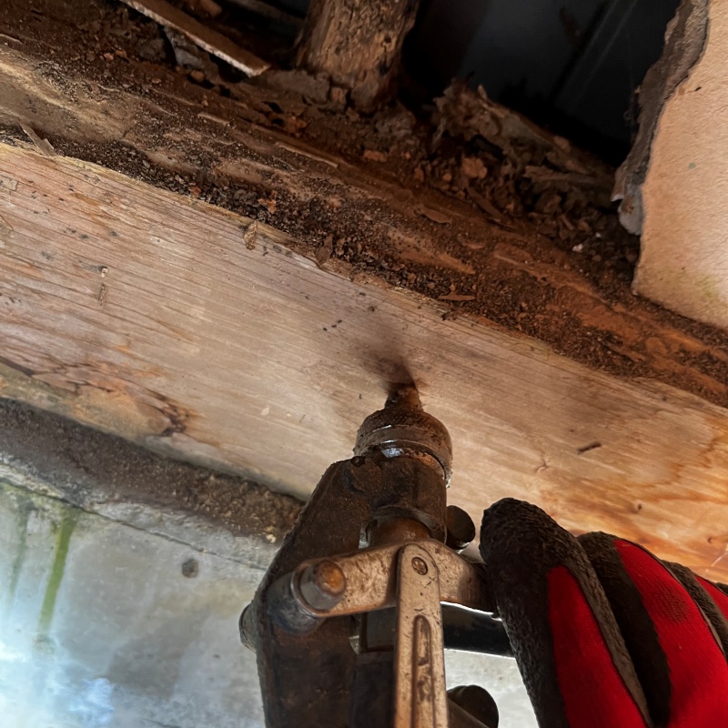 傷んだ木材に穴を開けてシロアリ駆除を注入