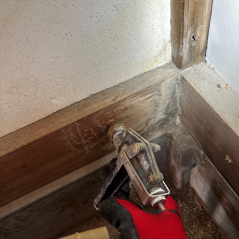 木材の内部にシロアリ駆除を注入している様子